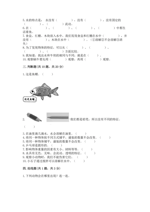 教科版一年级下册科学期末测试卷（典型题）.docx