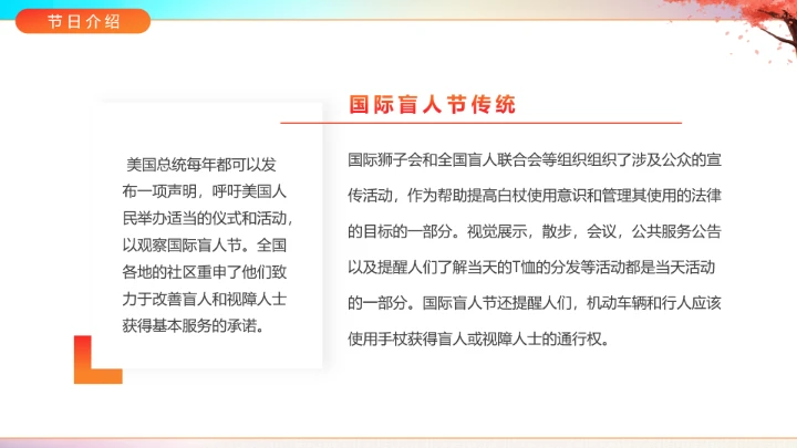 国际盲人节主题科普宣传PPT