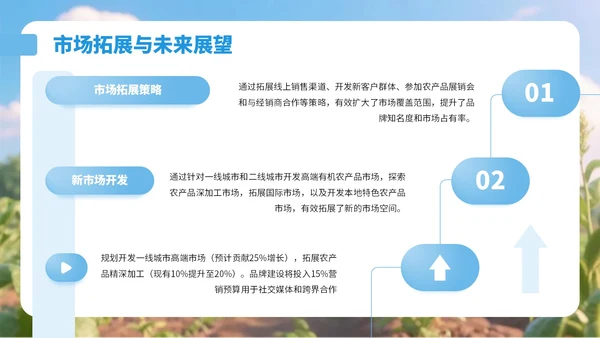 蓝色3D风乡村农产品销售总结PPT
