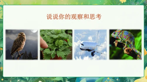 统编版语文三年级下册语文园地四 课件-