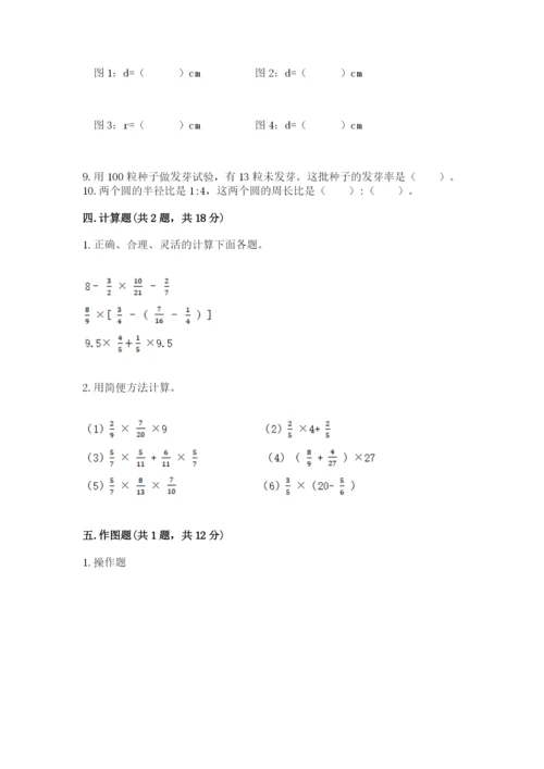 2022人教版六年级上册数学期末测试卷【典优】.docx
