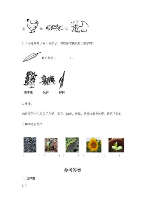 教科版科学一年级上册期末测试卷及参考答案（培优b卷）.docx