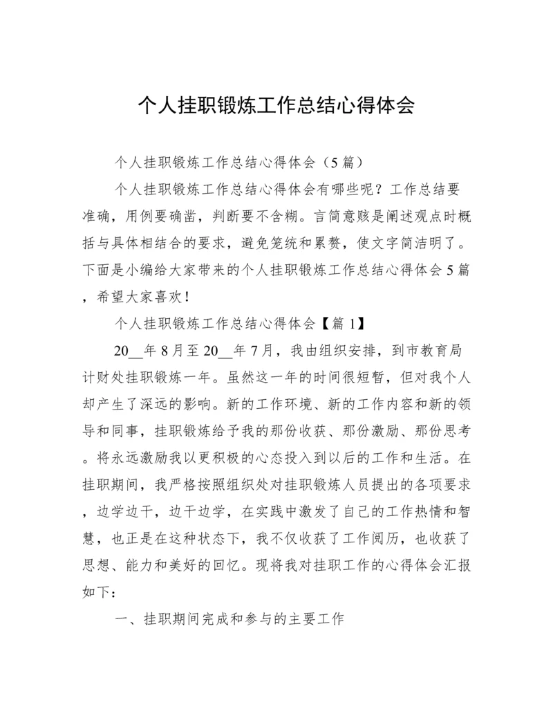 个人挂职锻炼工作总结心得体会.docx