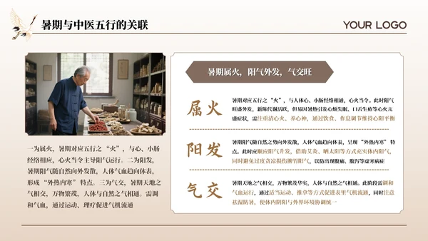 咖色古风中医理疗暑期养生座谈会通用PPT模板