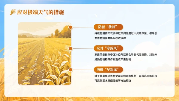 黄色插画风秋分农事农业培训PPT模板