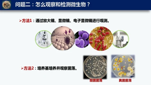 人教版生物七年级上册2.3.1《微生物的分布》课件(共22张PPT)+视频素材