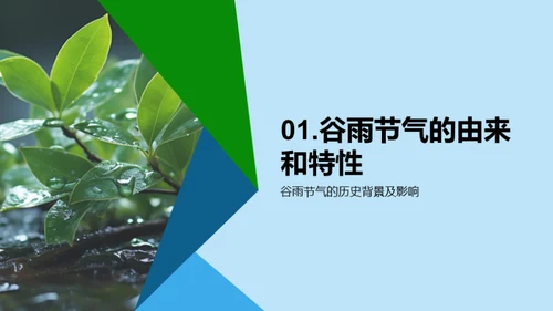 谷雨季节的教学探索