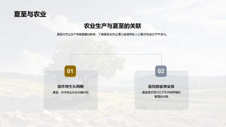 夏至：自然与健康