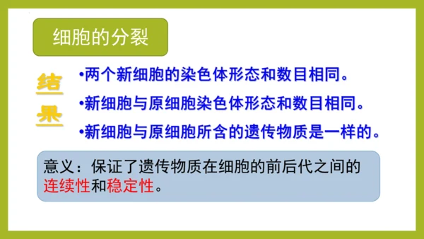 2.2.1细胞通过分裂产生新细胞课件2023--2024学年人教版生物七年级上册(共28张PPT)