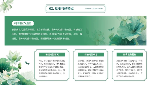 绿色简约二十四节气之夏至PPT模板
