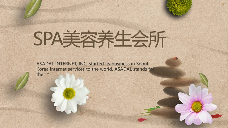 简约SPA美容养生会所工作总结PPT