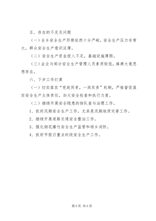 乡镇年度安全工作总结.docx