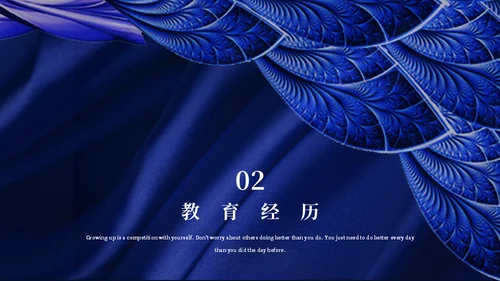 孔雀翎高端质感个人简历通用PPT模板