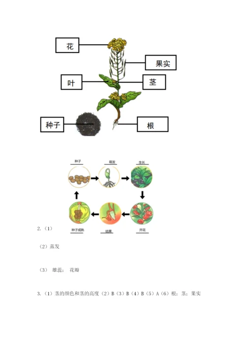 科学四年级下册第一单元植物的生长变化测试卷及答案（名师系列）.docx