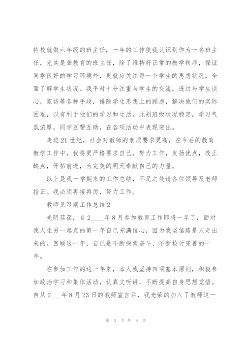 教师见习期工作总结三篇.docx