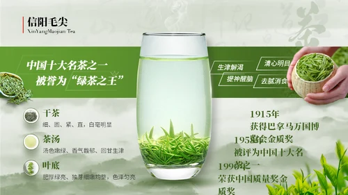 我的家乡 宜居信阳城市宣传通用PPT模板