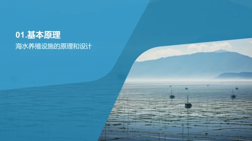 海水养殖：挑战与机遇