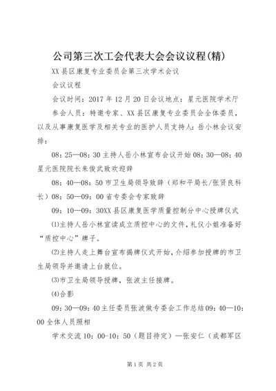 公司第三次工会代表大会会议议程(精) (4).docx