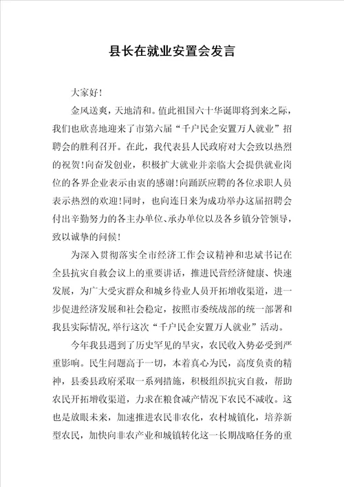 县长在就业安置会发言