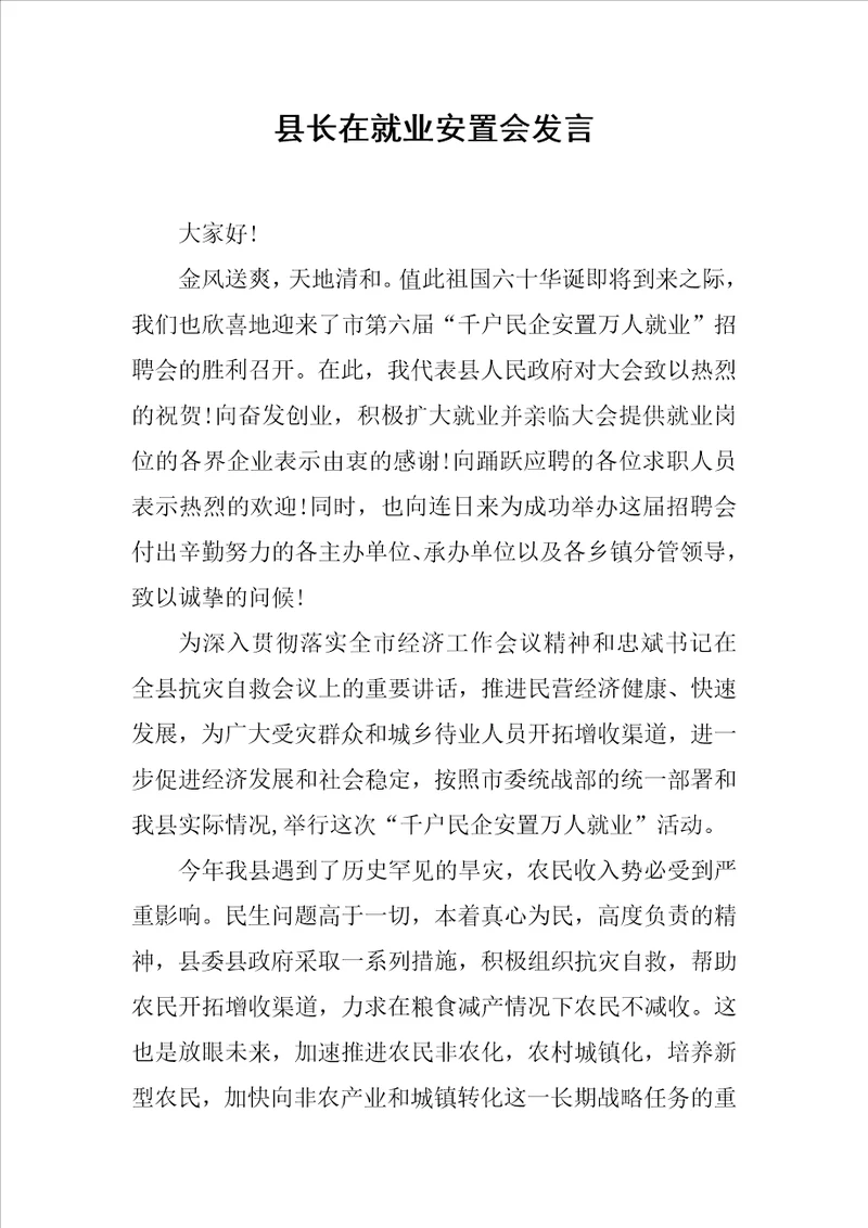 县长在就业安置会发言