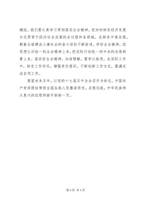 学习十七届五中全会个人心得体会.docx