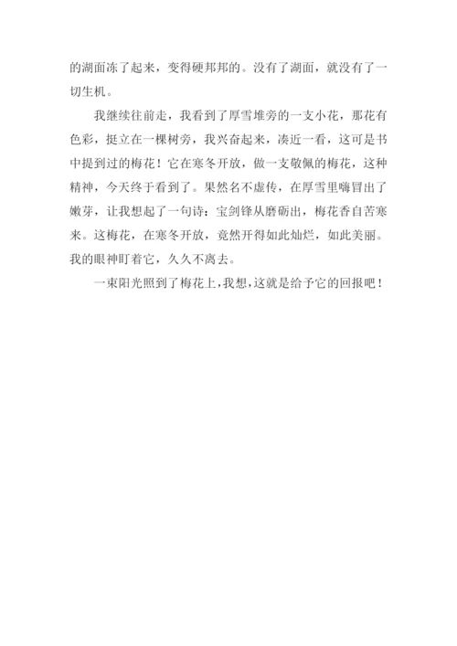寻找冬天作文.docx