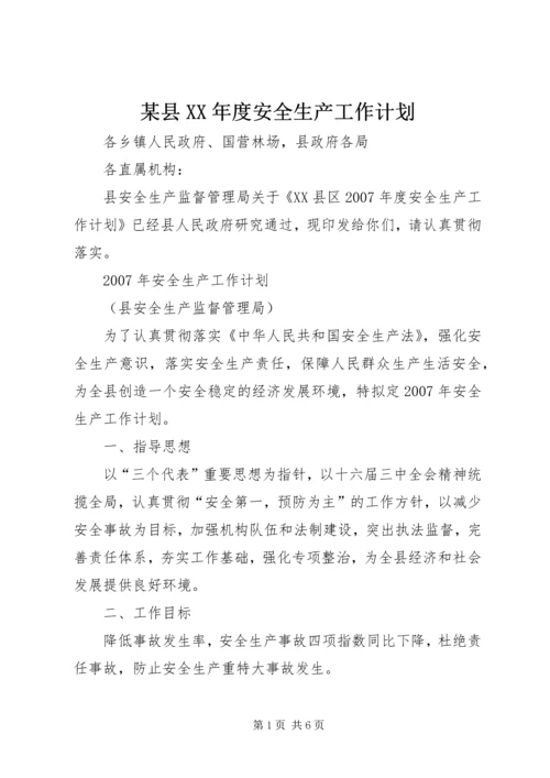 某县XX年度安全生产工作计划 (2).docx