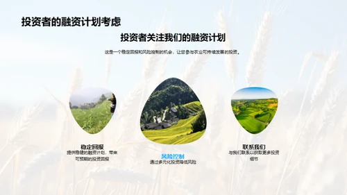 农业可持续发展投资策略