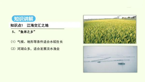 7.2 “鱼米之乡”——长江三角洲地区（课件32张） -人教版地理八年级下册