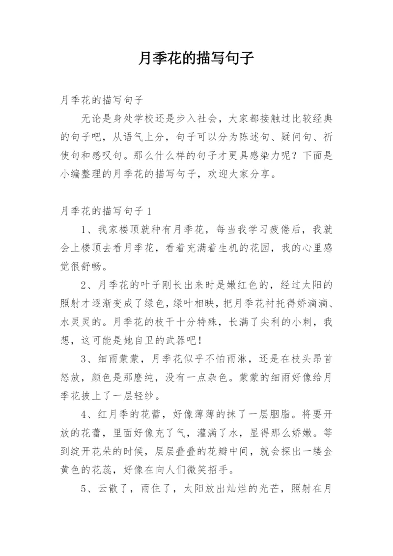 月季花的描写句子.docx