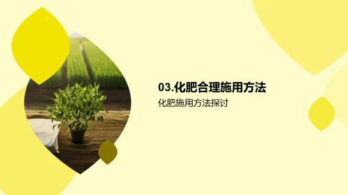 化学肥料的合理使用与环境保护