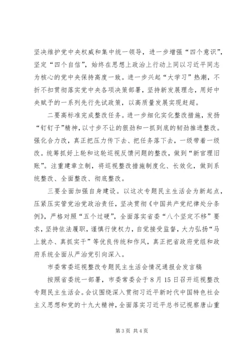 典型案例剖析整改专题民主生活会发言稿材料【3篇】.docx