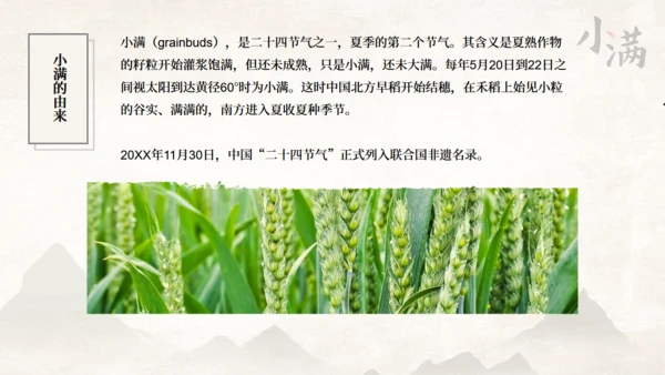 传统节气小满一抹绿色通用PPT模板
