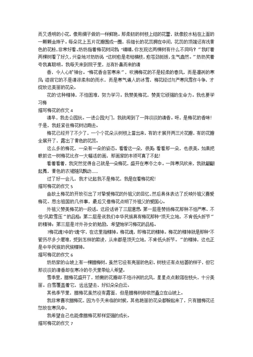 【热】描写梅花的作文11篇