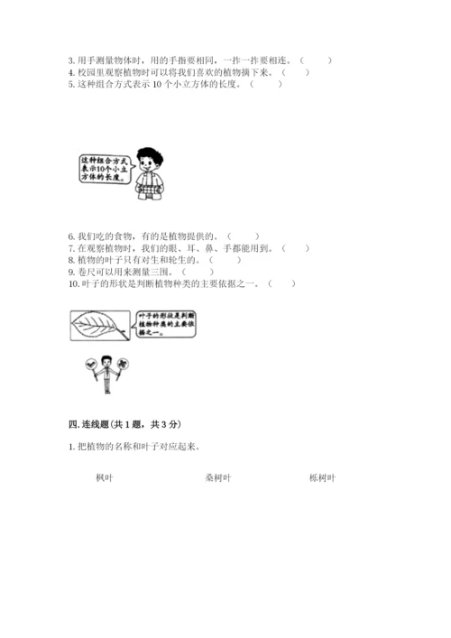 教科版一年级上册科学期末测试卷附参考答案（满分必刷）.docx