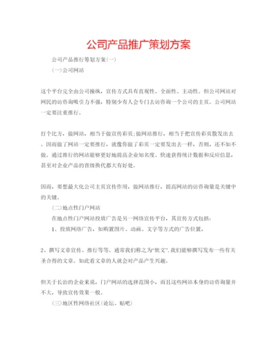 精编公司产品推广策划方案.docx