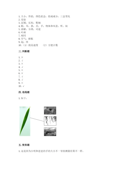 教科版一年级上册科学期末测试卷（黄金题型）.docx