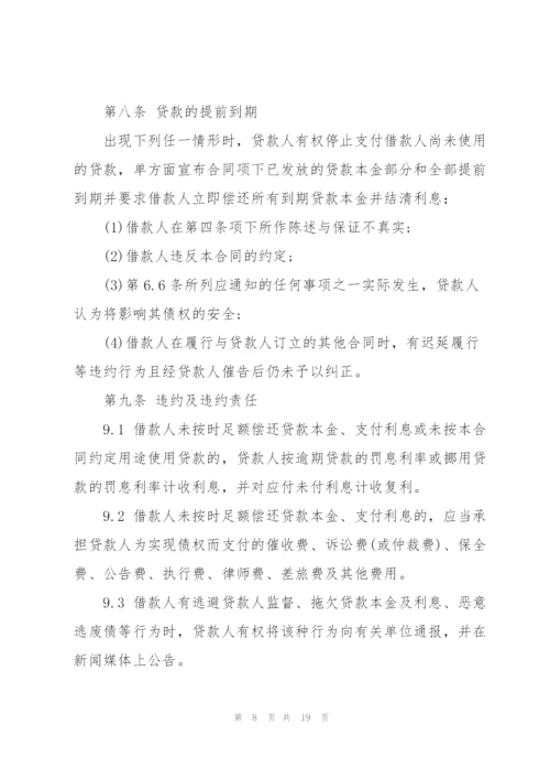 个人小额贷款借款合同模板.docx