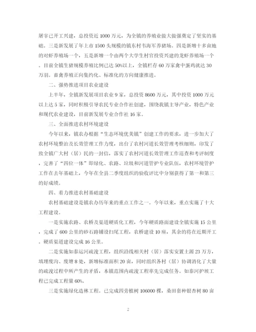 精编之乡镇农业农村工作总结优秀范文.docx