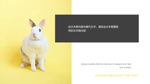 黄色清新极简风复活节策划方案PPT模板