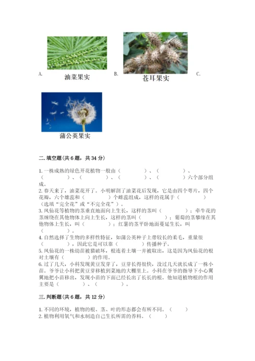 教科版科学四年级下册第一单元《植物的生长变化》测试卷及答案（夺冠）.docx