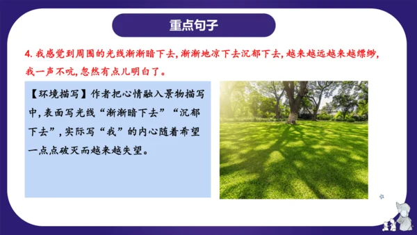 统编版六年级语文下学期期中核心考点集训第三单元（复习课件）