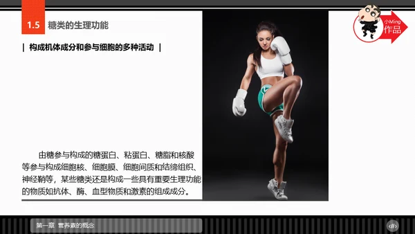 运动营养学通用PPT模板