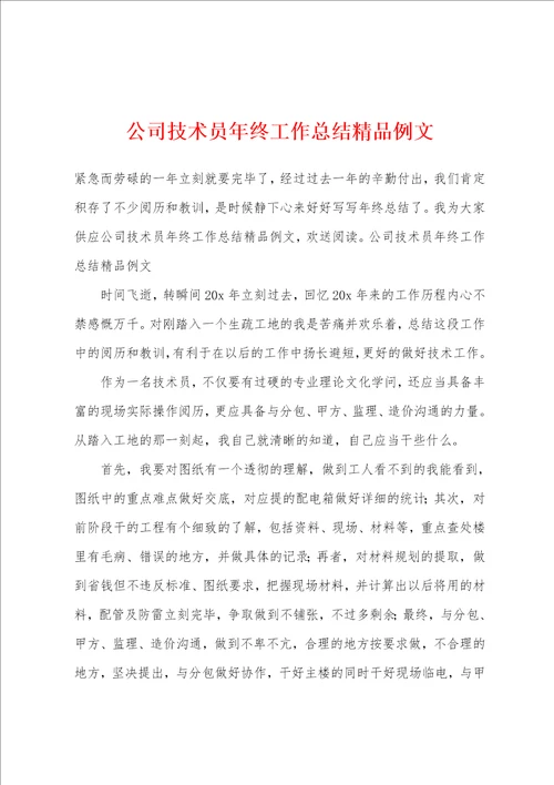 公司技术员年终工作总结精品例文