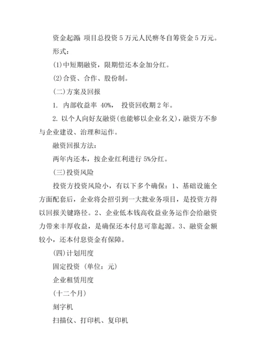 专业策划公司创业专题计划书.docx