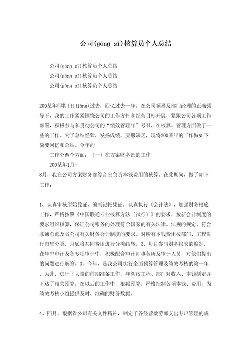 公司核算员个人总结