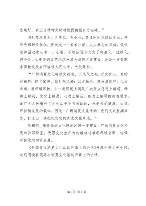 县领导在消夏文化活动开幕上的讲话.docx