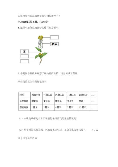 教科版四年级下册科学第一单元《植物的生长变化》测试卷（实用）.docx