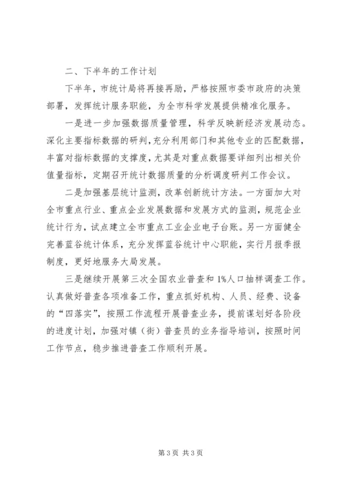 统计局上半年工作总结和下半年工作计划精编.docx