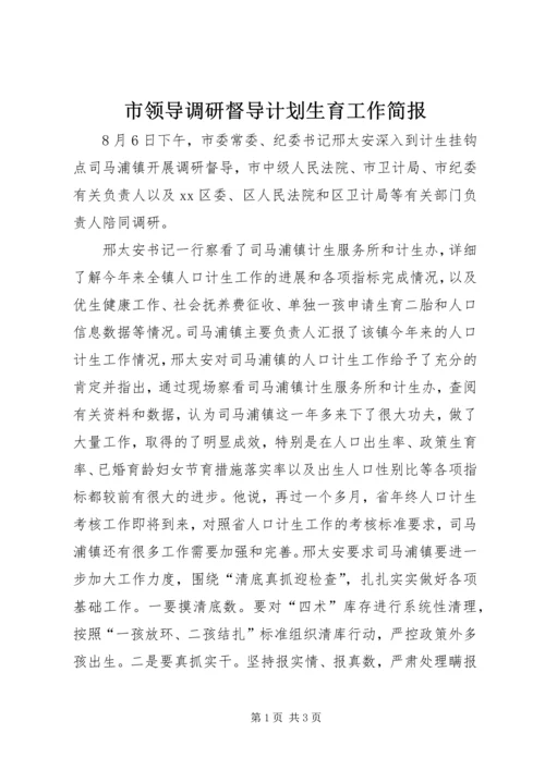 市领导调研督导计划生育工作简报.docx